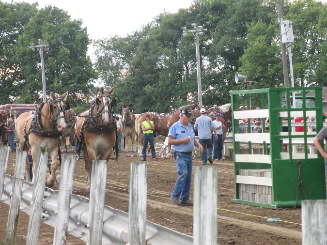 Photo: Horse Pull