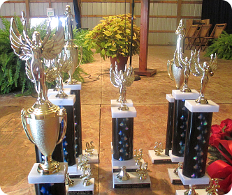 Winners Trophies